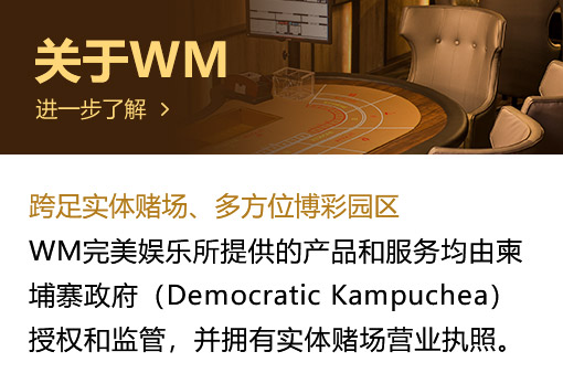 WM娱乐